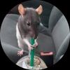 stuartlittle200